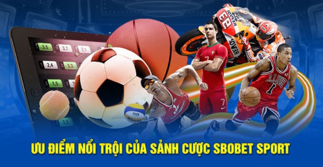 Ưu điểm nổi bật của sảnh cược SBOBET 98Win